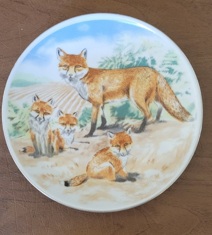 Fox Regency Fine Arts Collectors Plate British Wildlife Collection Foxes