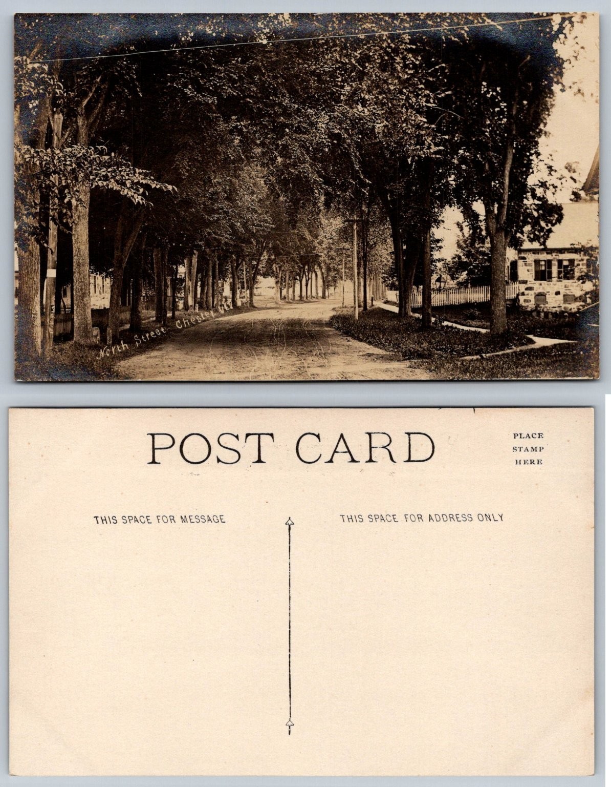 Vintage Real Photo Postcard North Street Chester PA Tree Lined Road RPPC