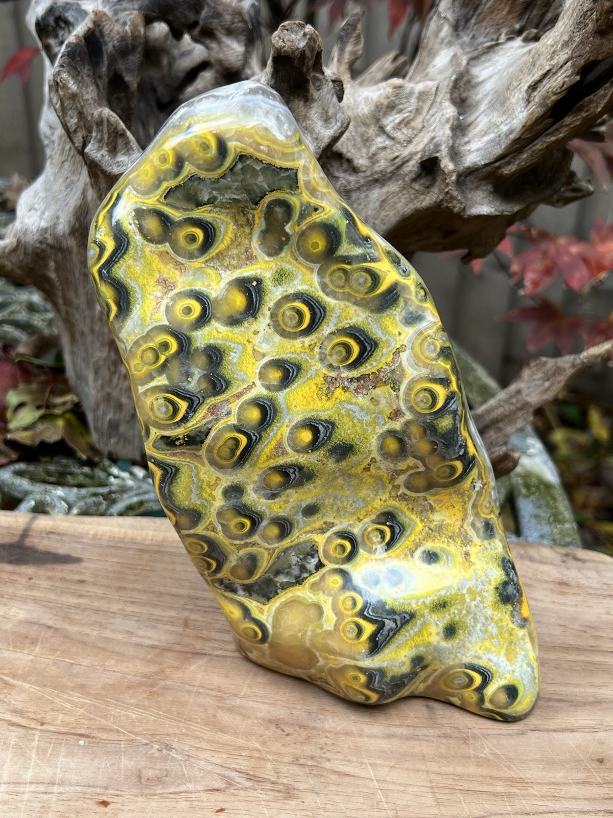 Bumblebee Jasper Large Freeform AAA+ : Inspiration Intention Creativity 1750g