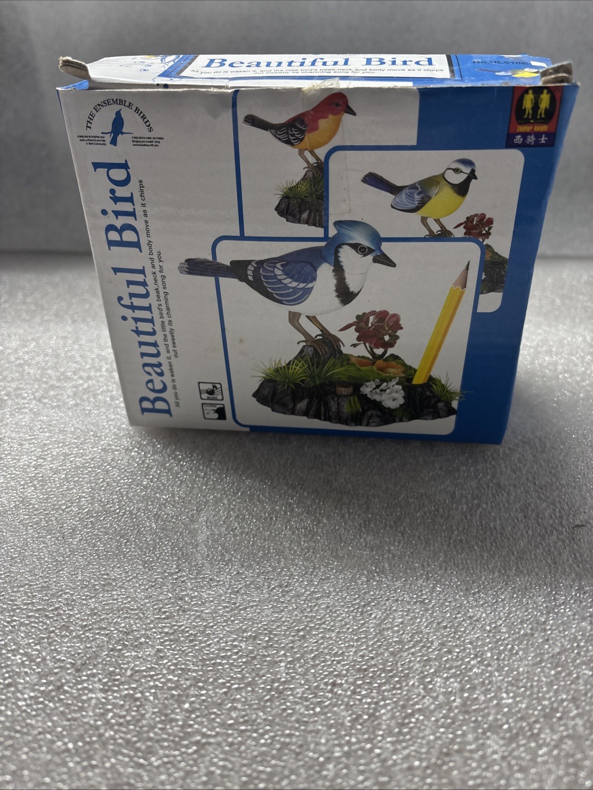 The Ensemble Birds Beautiful Bird