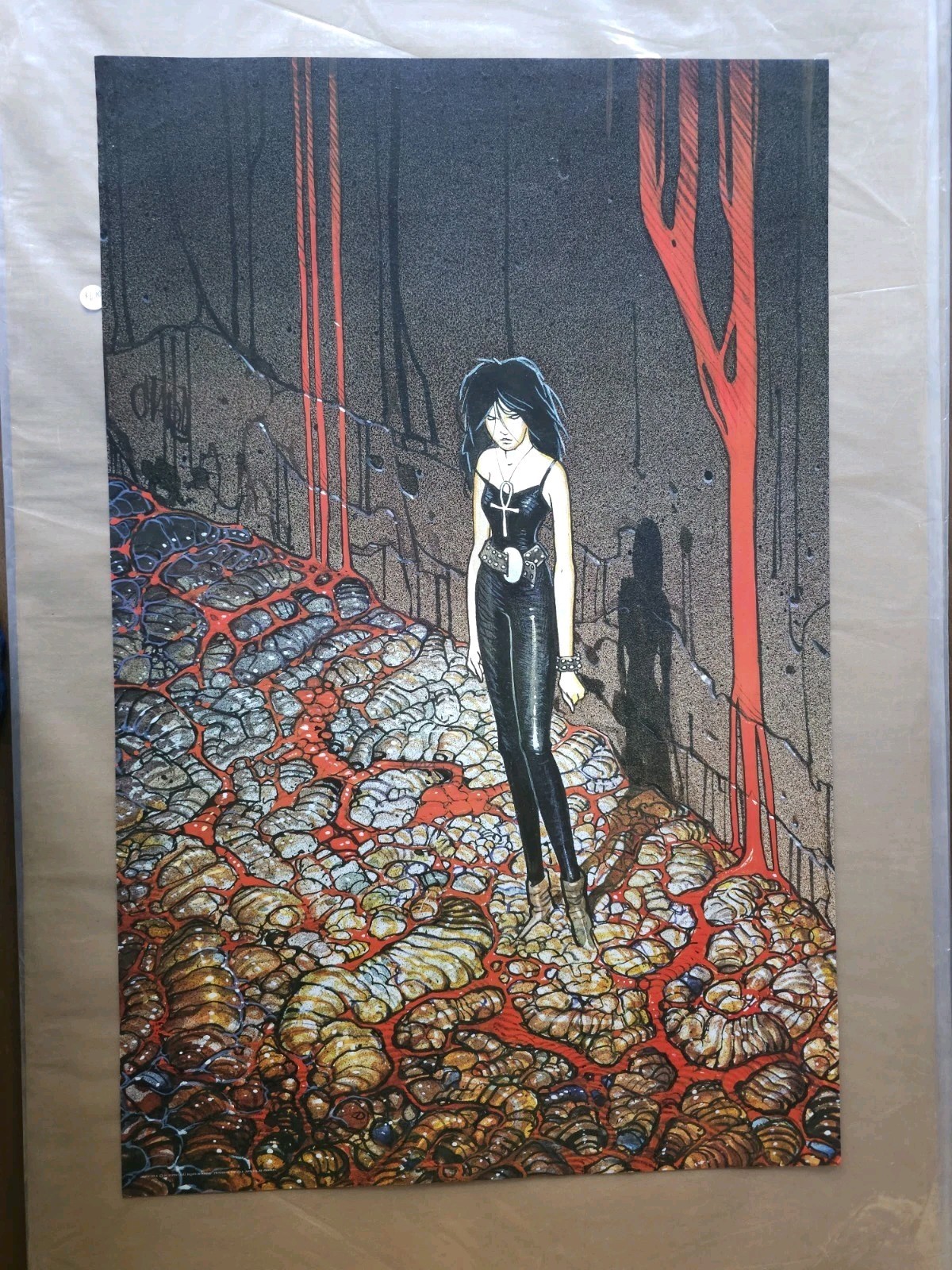 Vintage Death of The Endless by Moebius DC Comics Poster 22\