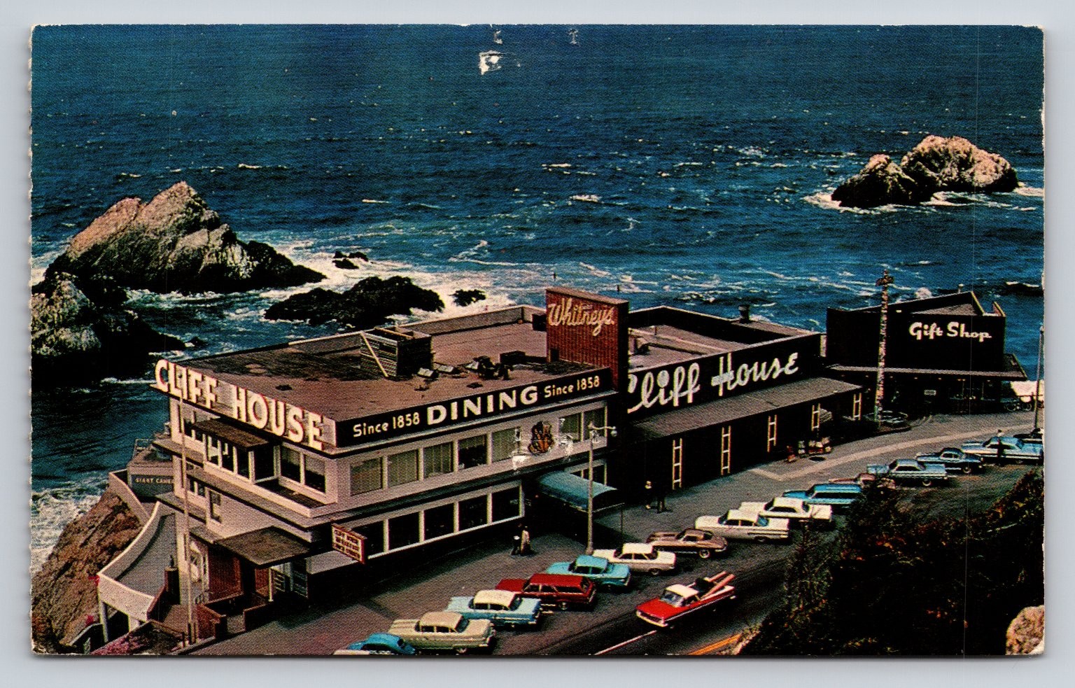 Vintage Cliff House San Francisco CA Postcard Whitney\'s Seal Rocks 1960s