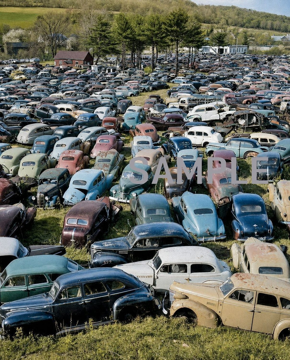 1950s JUNK  Salvage YARD  Photo  (239-D)