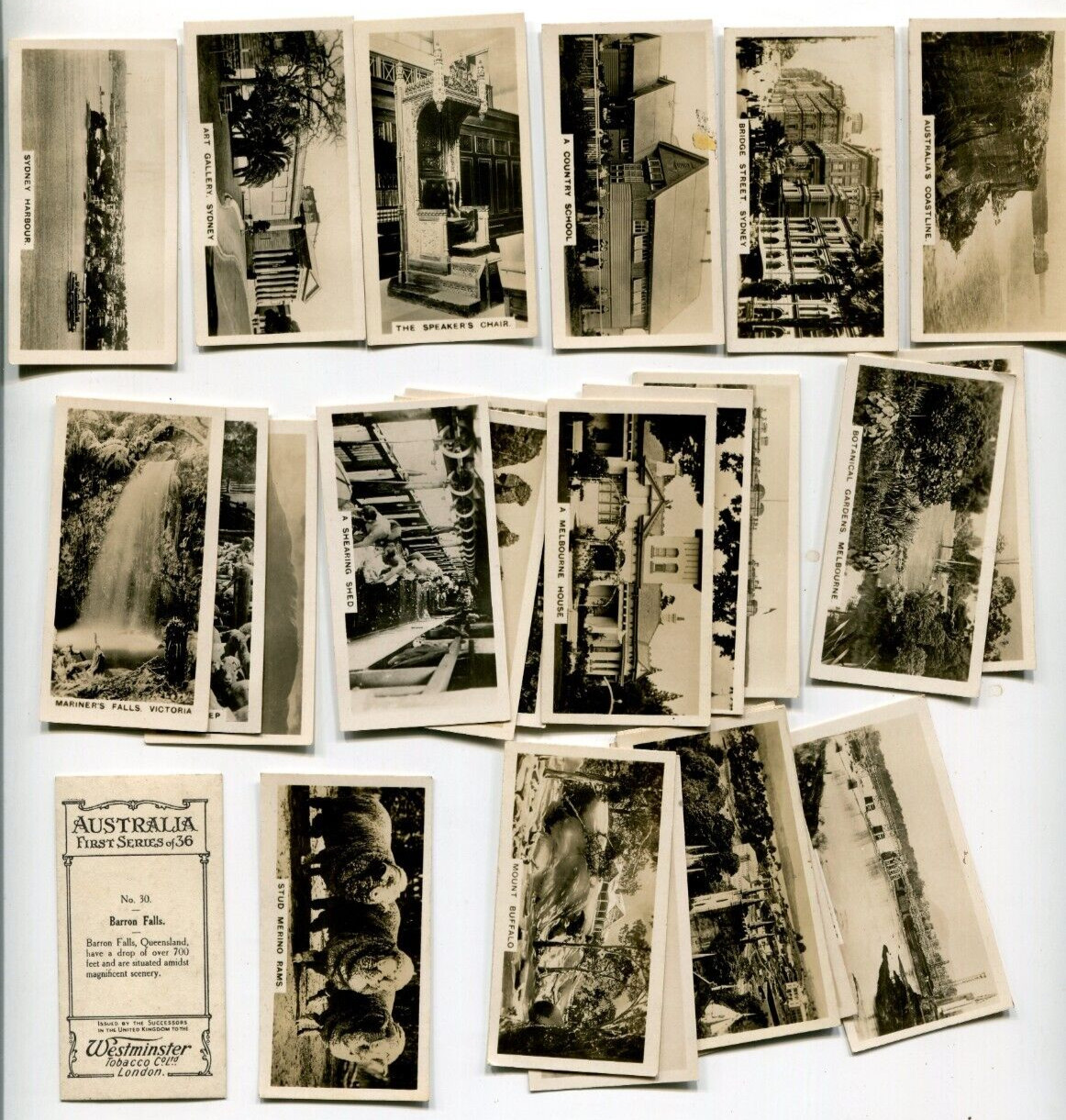 1932 WESTMINSTER CIGARETTES 1ST SERIES AUSTRAILIA 36 DIFFERENT TOBACCO CARD SET
