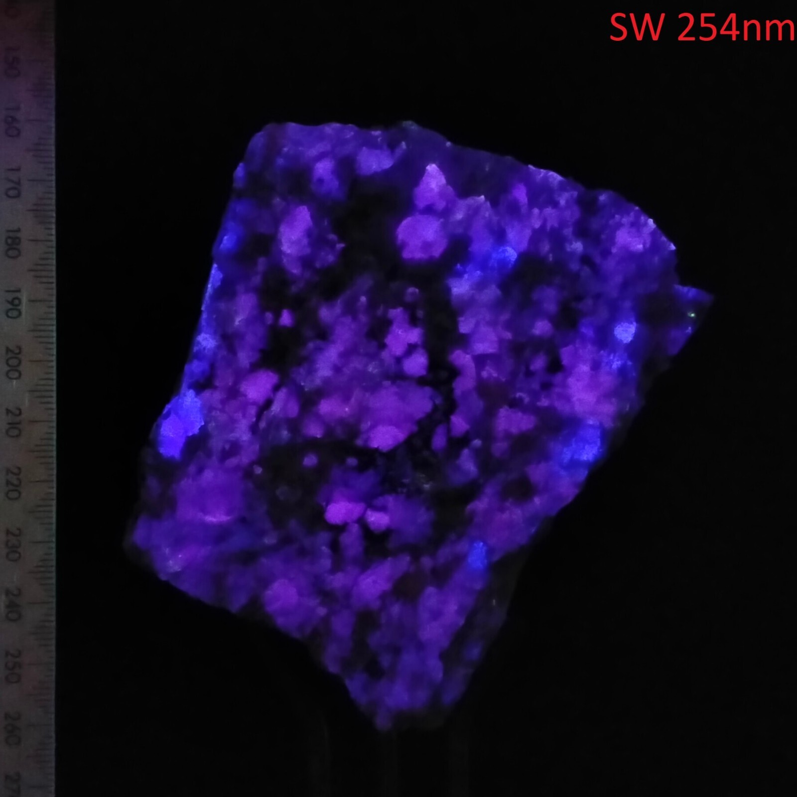 Fluorite Garnet Biotite Albite fluorescent short wave specimen Sparta US 0.48kg