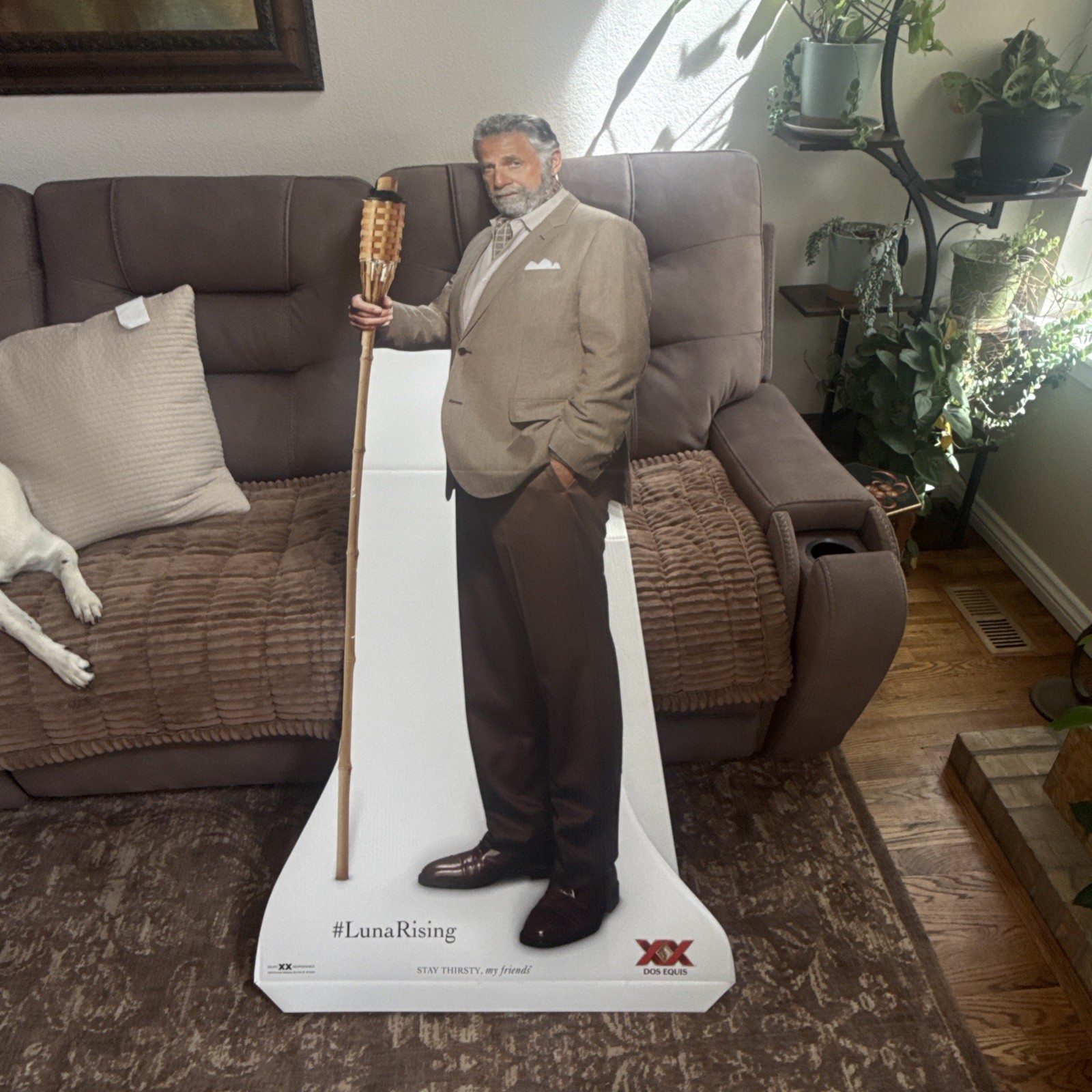 Most Interesting Man In The World Dos Equis XX Standee Brand New - Vintage 2015 