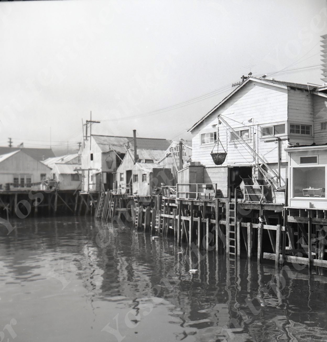 a22 Original Negative 1950\'s Monterey CA Harbor Central Calif Fish Company 425a