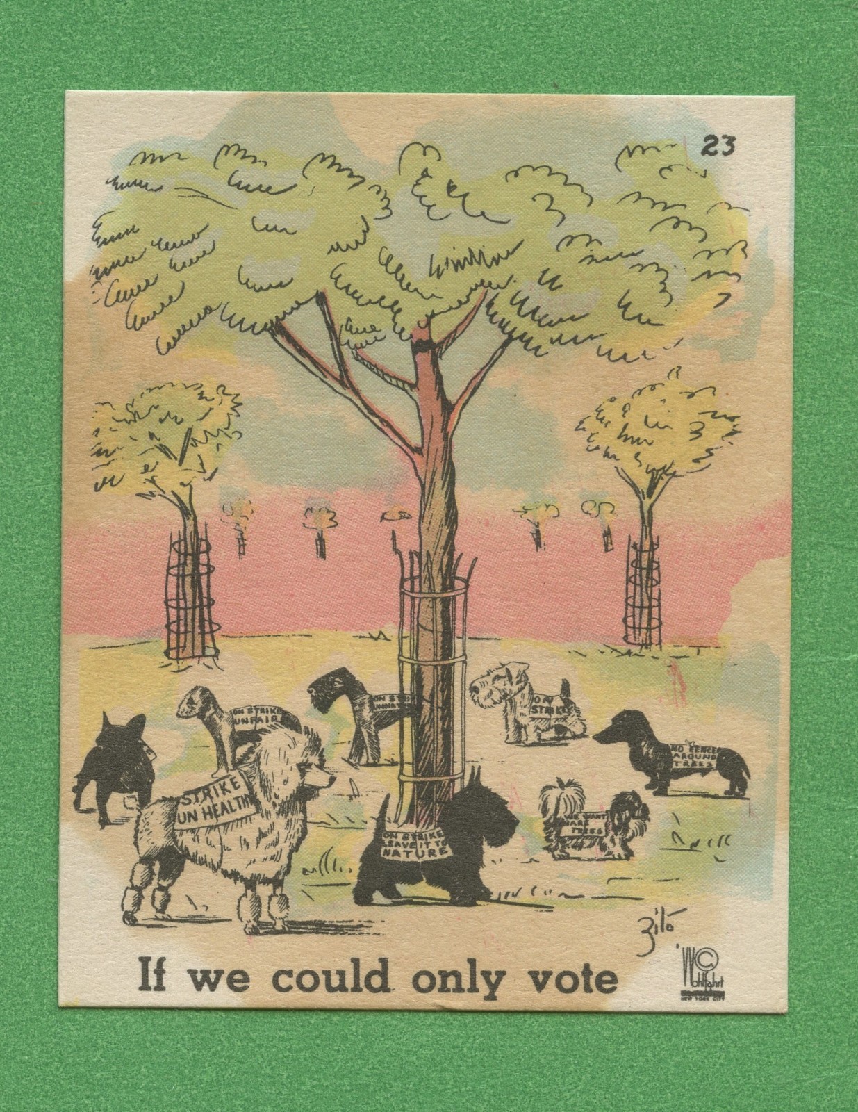 1937 Dogs by Zito No 23 If We Could Only Vote Vintage Dog Trading Card