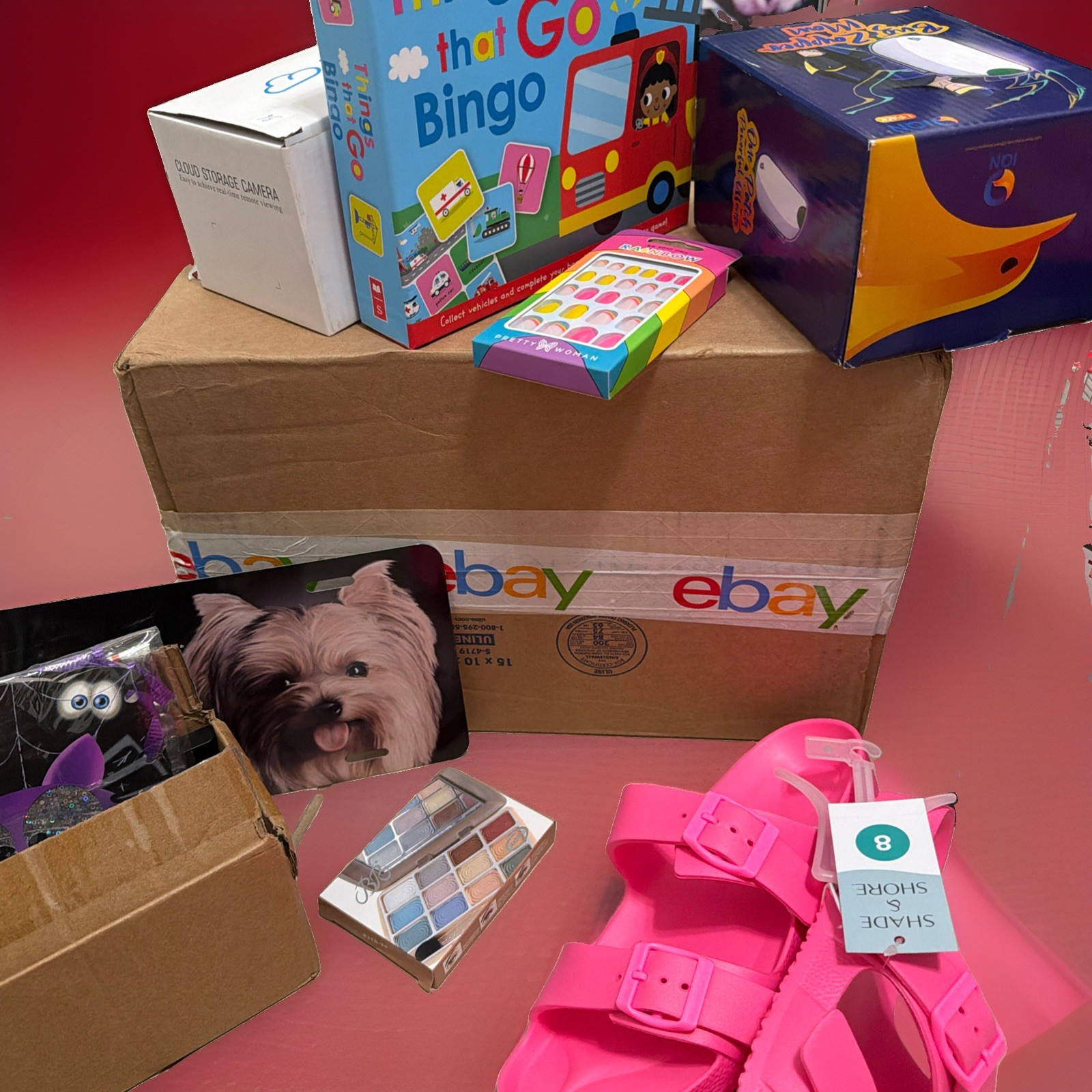Amazon / Walmart Mixed Lot of General Merchandise ~ Overstock & Returns 15+ $200