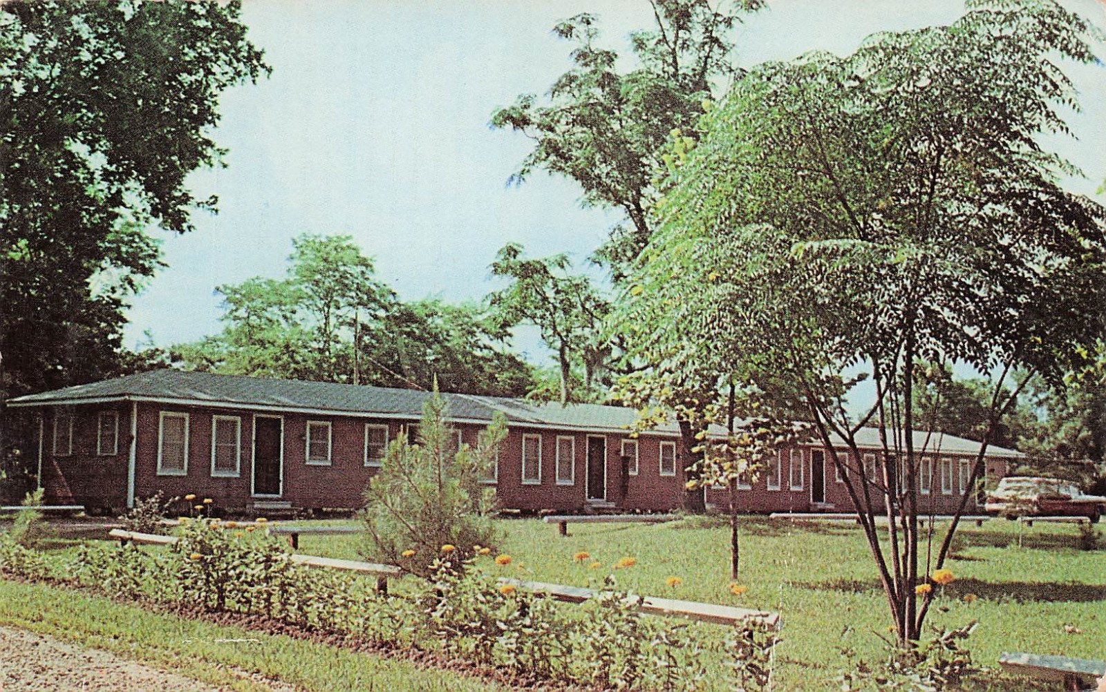 Monterey LA Louisiana Bayou Lodge Fishing Motel Horseshoe Lake Vtg Postcard 14A