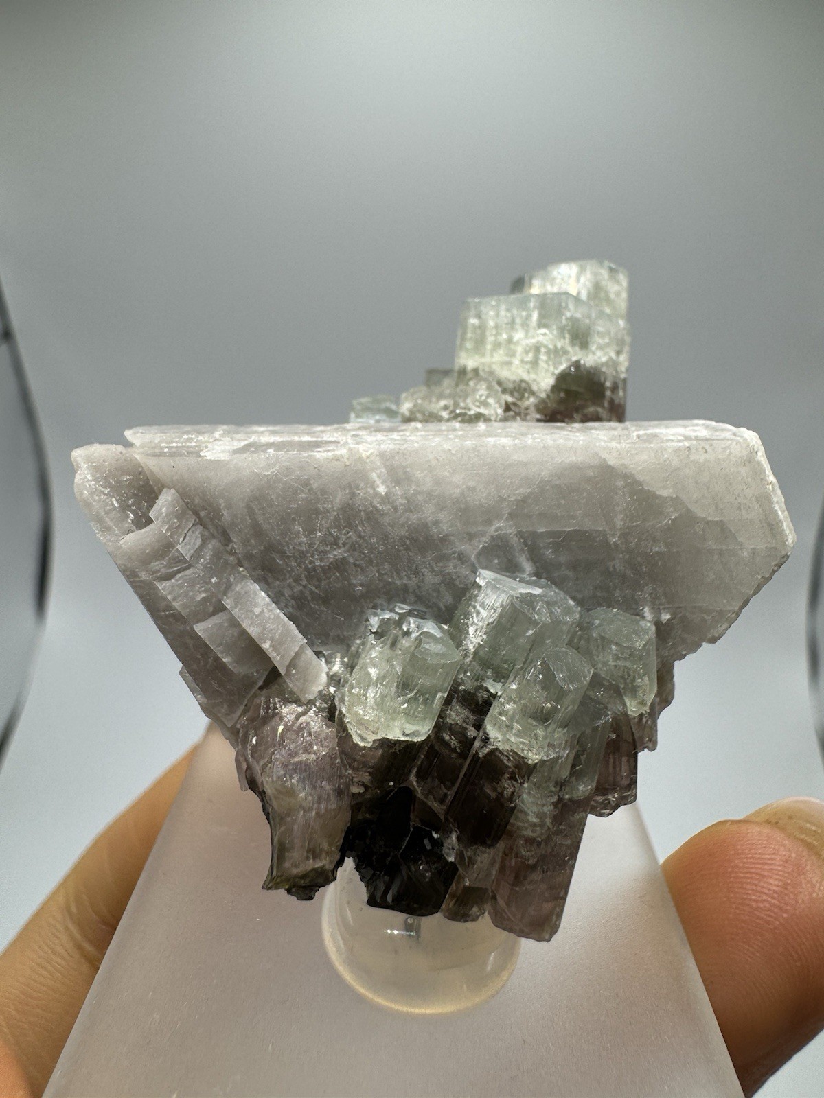 Watermelon Dravite with Albite Crystal (37gr) Watermelon Dravite with Albite