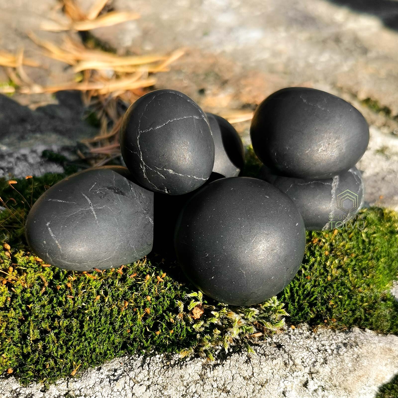 Shungite Stone -Authentic Natural Russian Black Rare mineral from Karelia, Tolvu