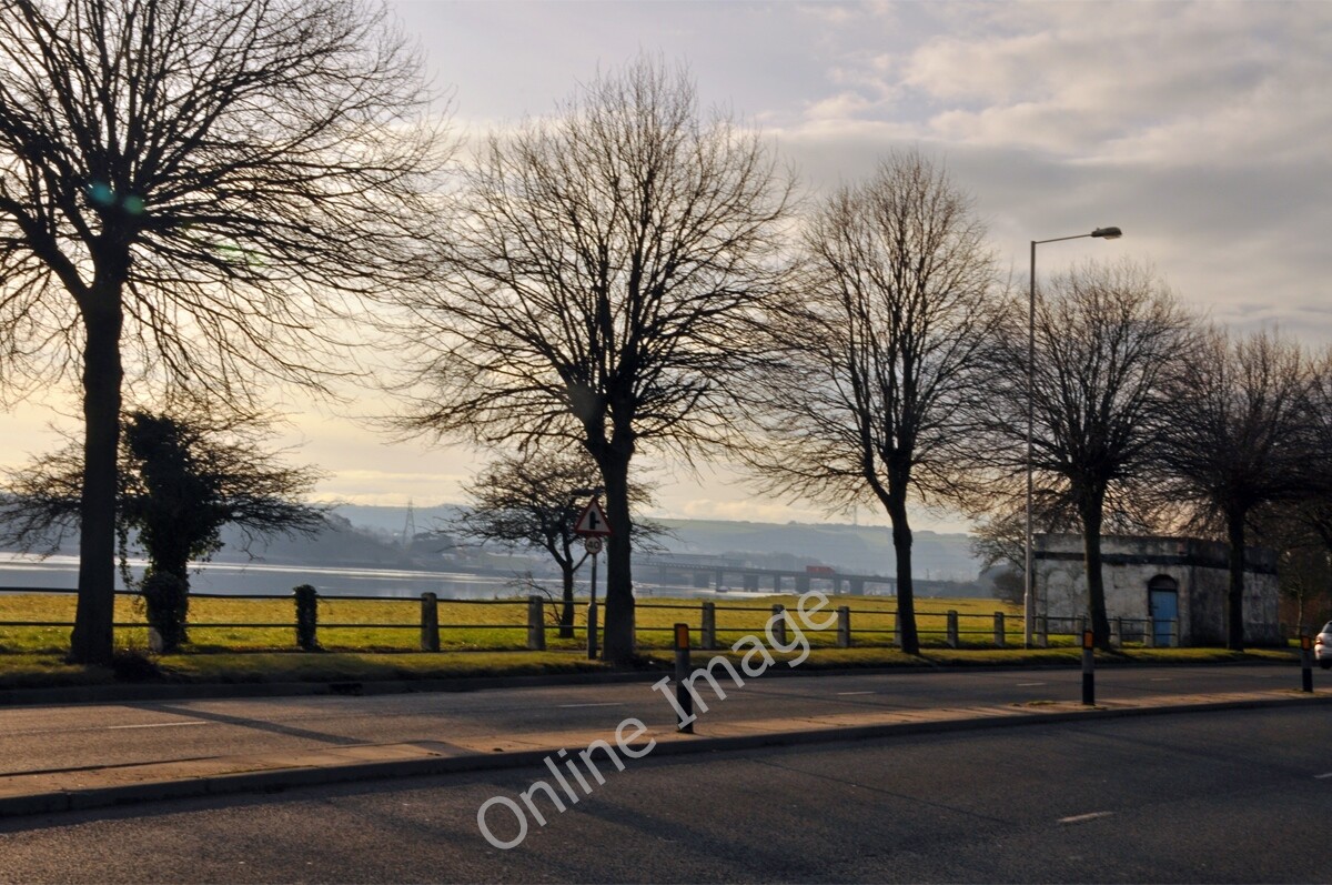 Photo 12x8 Trees on Embankment Road - Plymouth Laira The Laira bridges can c2010