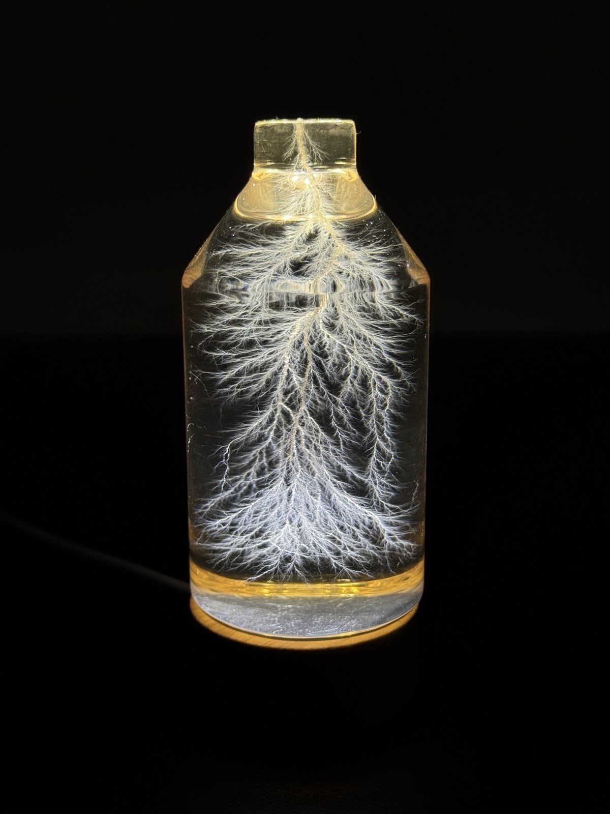 Lichtenberg Figure 2x3 Bottled Lightning with Engraving service- DM for specific