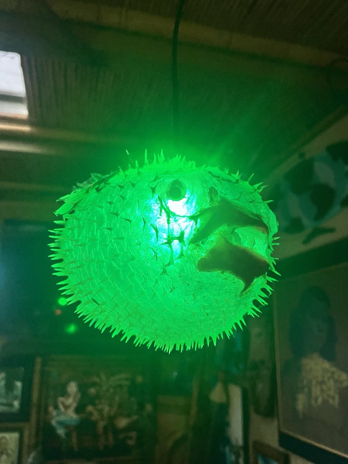 NEW 8”-9” Pufferfish Lamp w/Green LED Tiki bar Oceanic Smokin’ Tikis