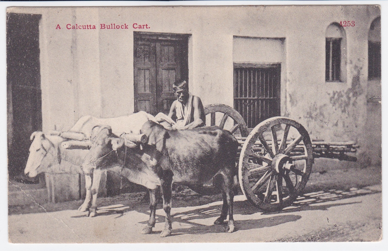 INDIA - A Calcutta Bullock Cart - Street Scene RPPC Unposted Early 1900s