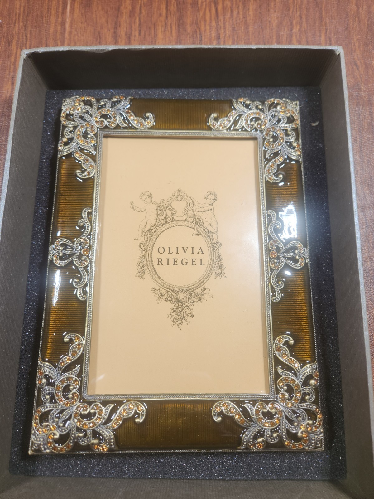 Olivia Riegel “Remy” 4x6 Glass, Silver Picture Frame-Elegant Crystal Accent NEW 
