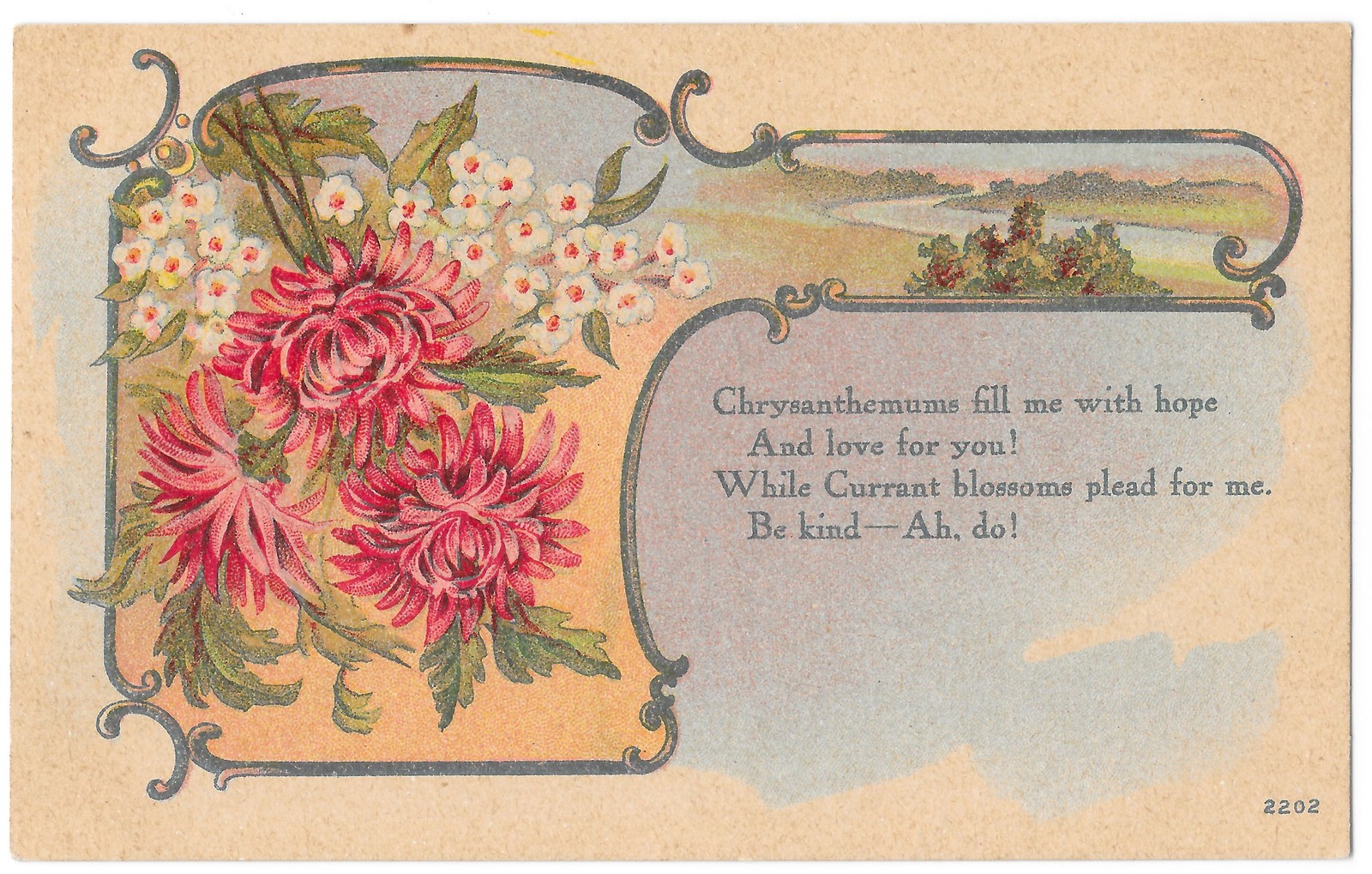 Chrysanthemum Currant Blossom Greeting Postcard 1909 Mercer PA Divided Back