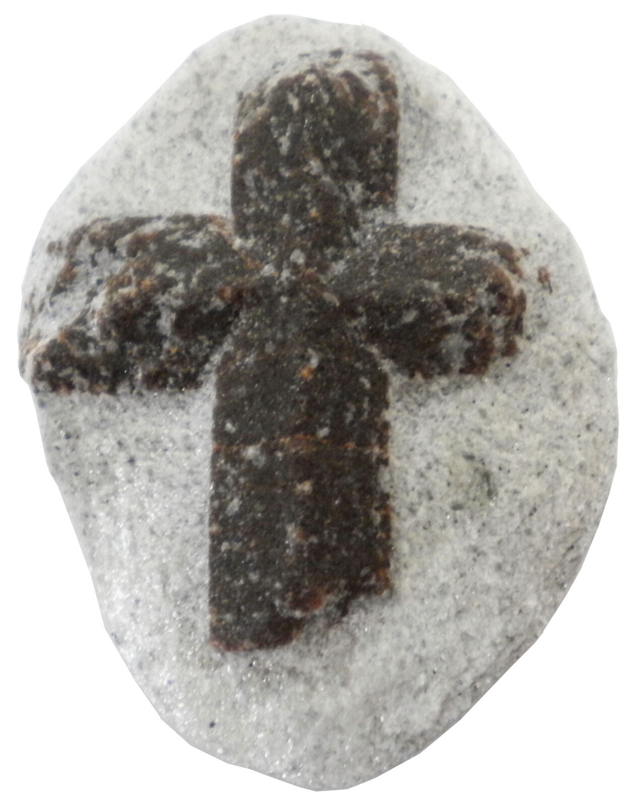 Staurolite Mineral Display Specimen-53 gram -2.5 x 1.75\
