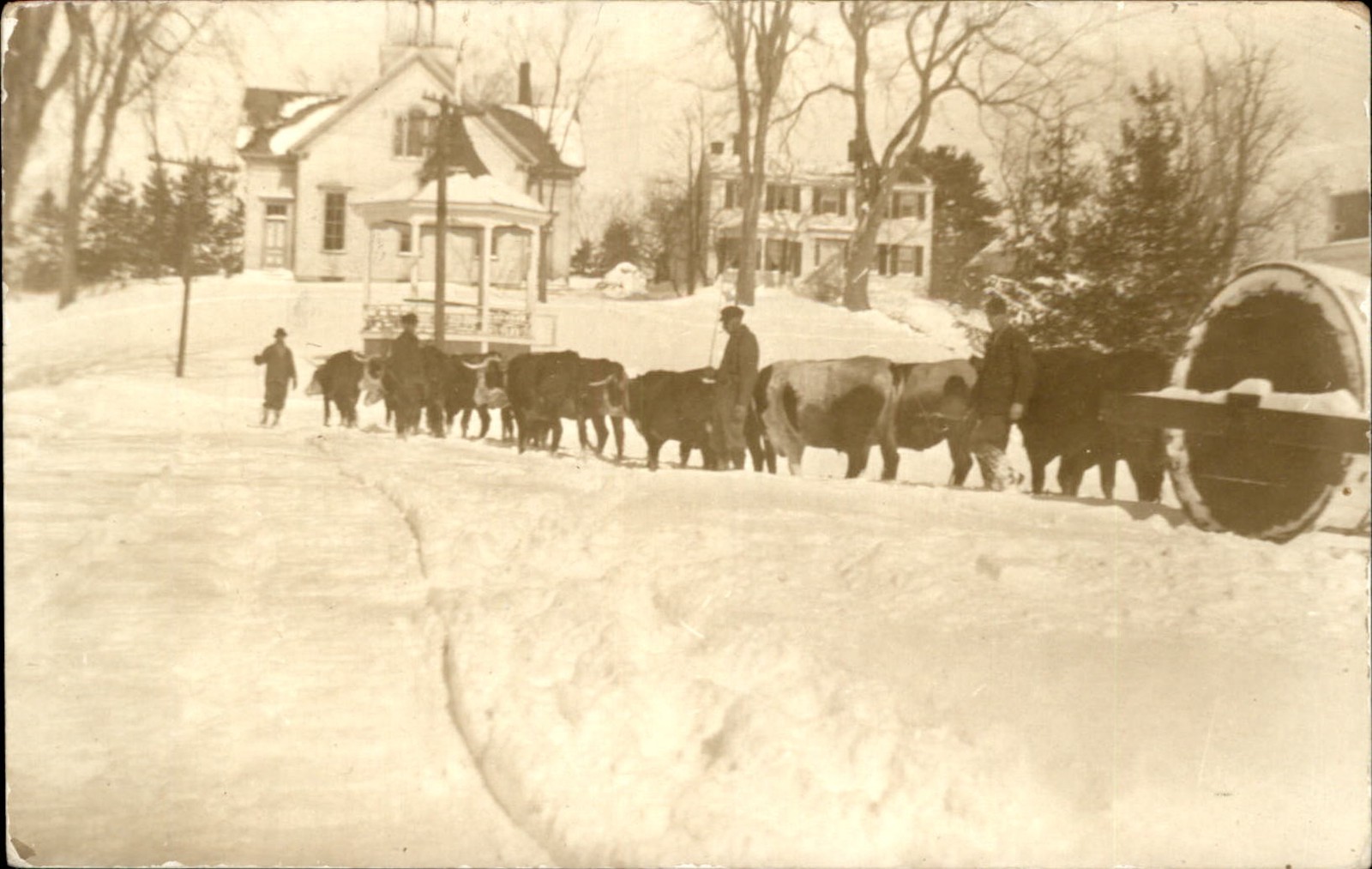 Limerick Maine ME Oxen Team Snow Roller c1917 Real Photo Postcard bhn