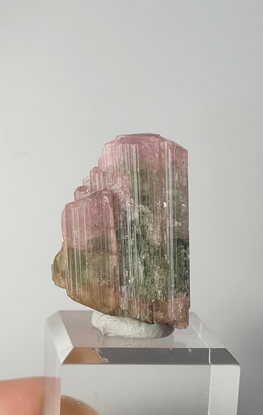 Paraiba Bi Colour Tourmaline Crystal 