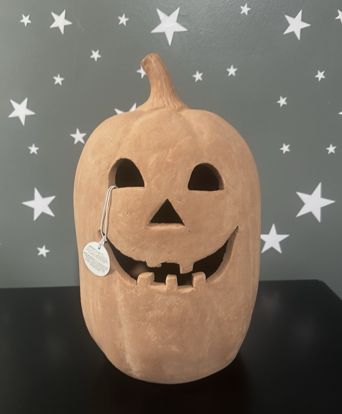 Pottery Barn Terracotta Jack O' Lantern Luminary X Large Pumpkin Decǒr NEW
