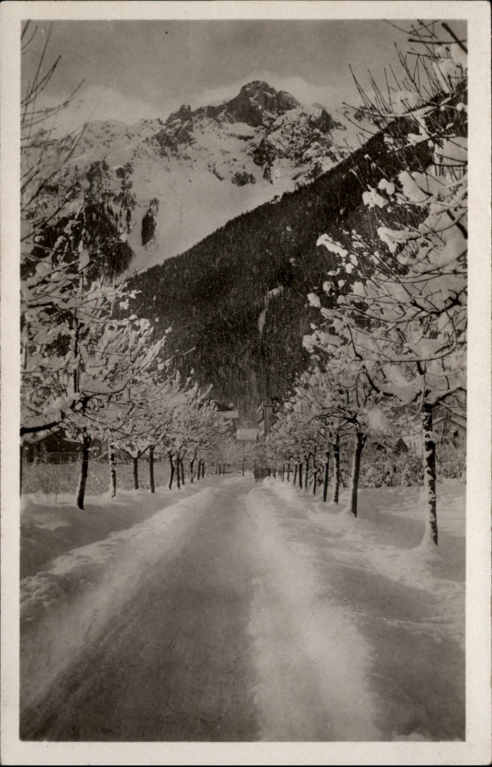 RPPC Avenue Hotel Beaulieu Brevent Chamonix Haute Savoie France vtg postcard p24