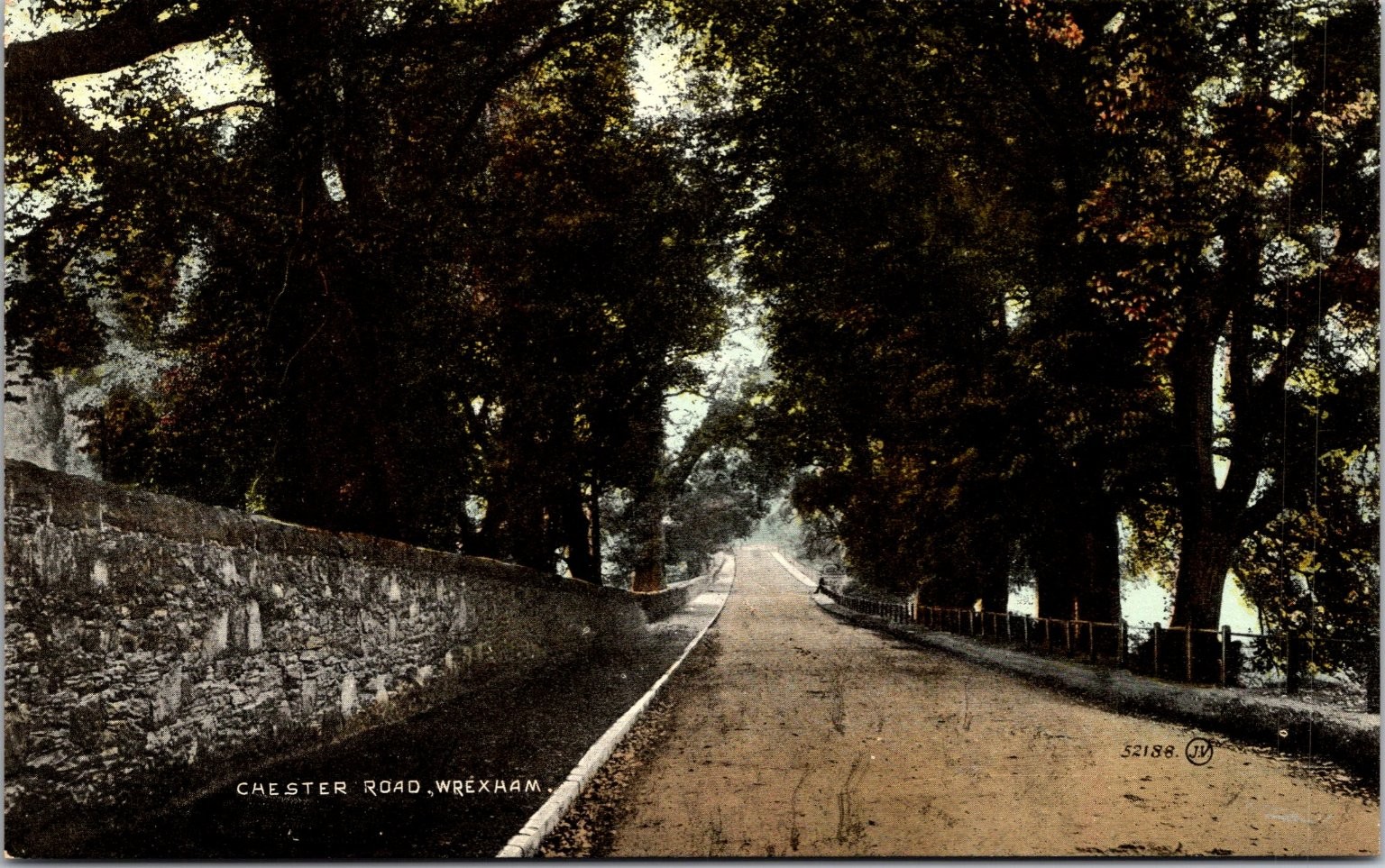 Chester Road Wrexham Wales Vintage Valentine\'s Colourtone Postcard Trees