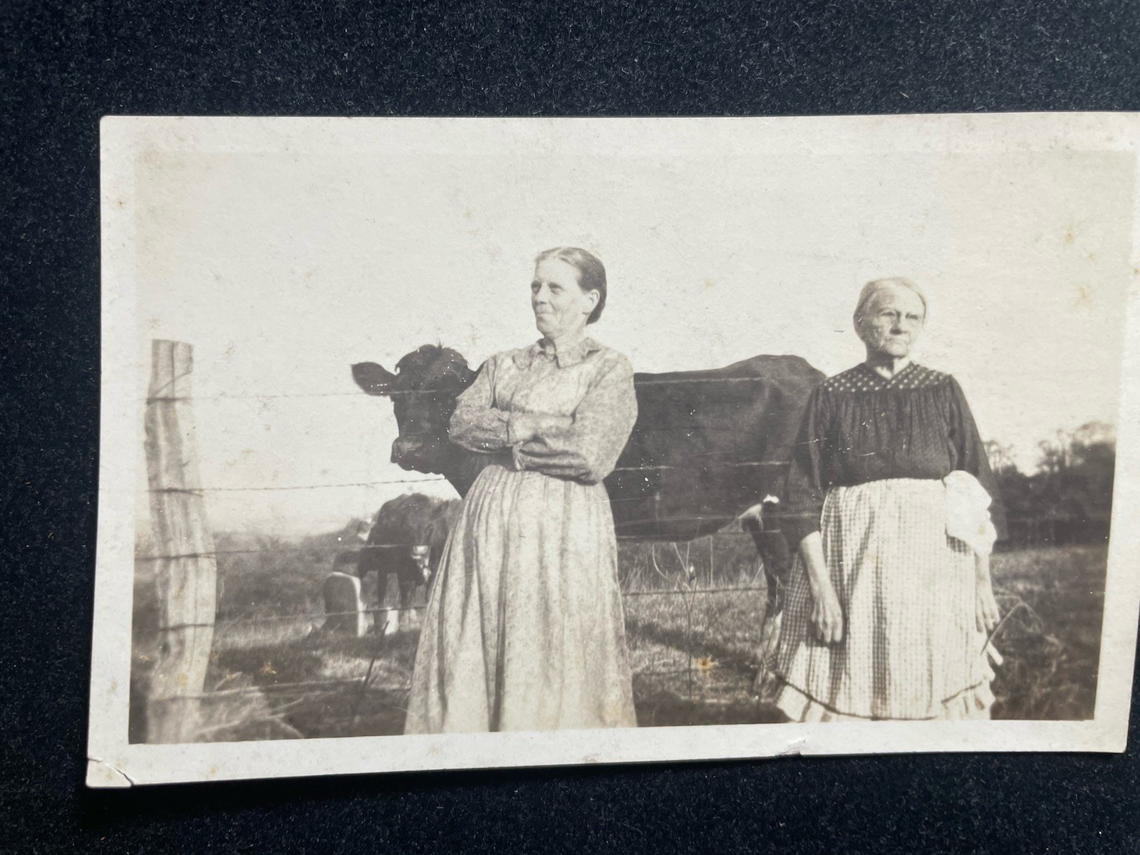 1920'S PHOTOGRAPH COUNTRY WOMEN LOOKING AFTER FAMILY COW P136
