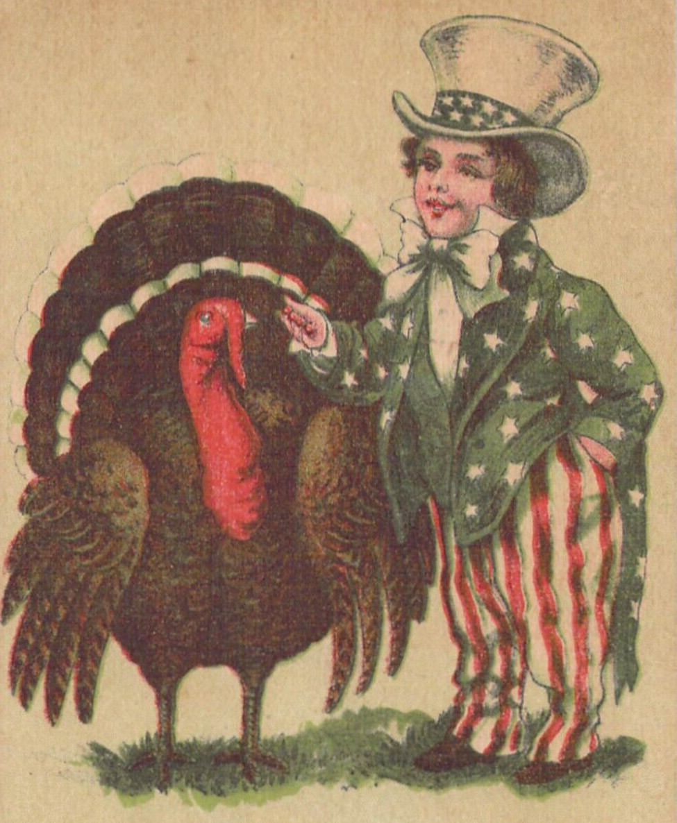 Patriotic Little Man Stars & Stripes Hat Jacket Turkey Green Vintage Postcard A3