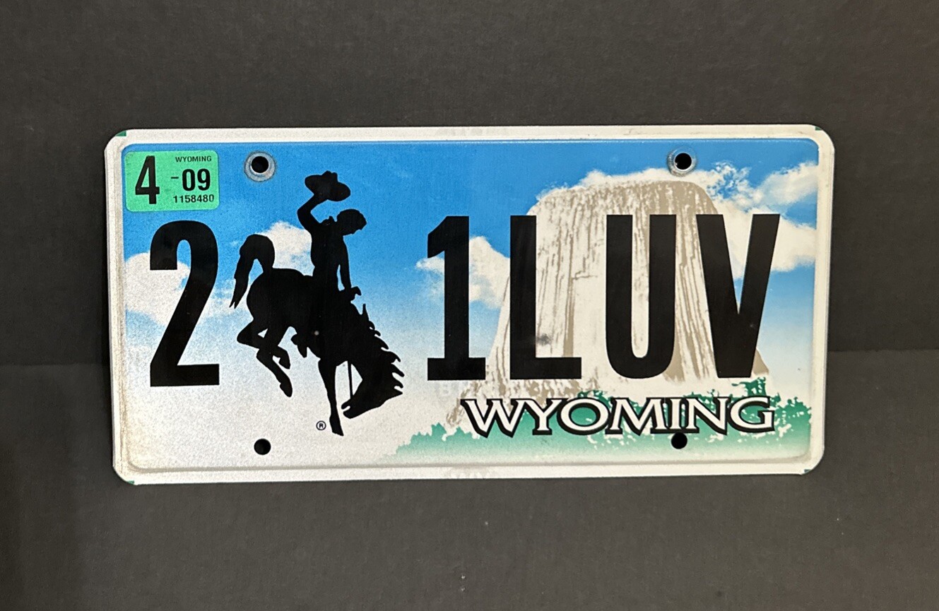 Vintage WYOMING Vanity License Plate — 1 LUV — 1st ❤️ — 1 Love — One Love