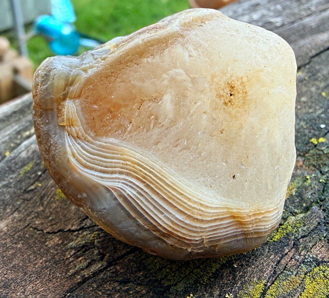 Lake Superior Agate Quartz Bomb 2.85 oz Natural Banded LSA Collector Specimen