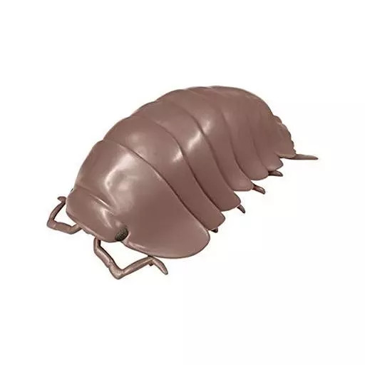 Tropical Flat-backed Millipede Trading Figure Dango Mushi 03 Collectible Collect