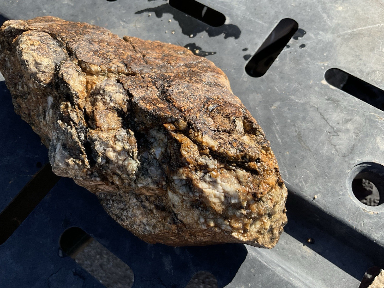 8.2 LB Natural Arizona Quartz Gold Ore, Huge Piece