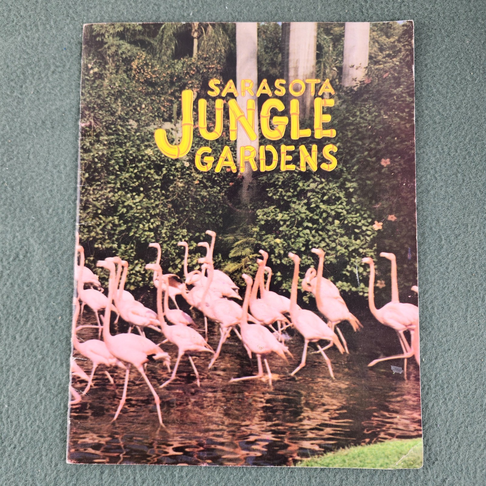 Vintage Souvenir Sarasota Jungle Gardens Picture Booklet