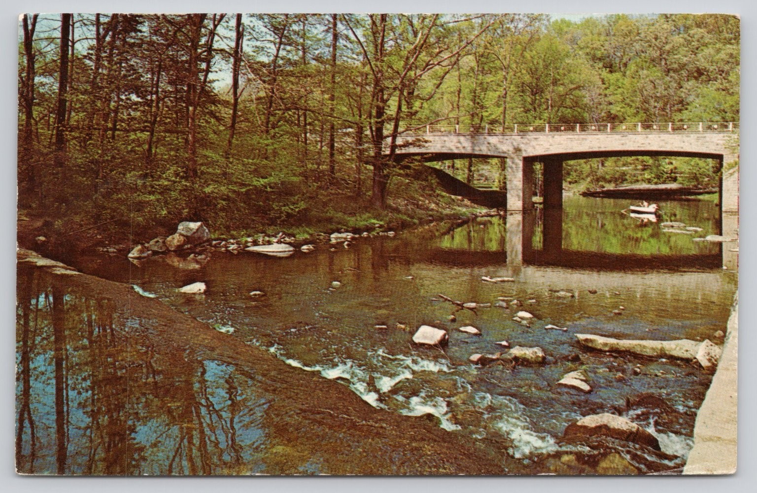 Mill Creek Park Youngstown Ohio Slippery Rock Bridge Stream 1950s Plastichrome