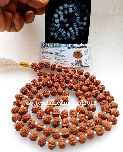 GANESH GANESHA RUDRAKSHA OM KANTHA GANPATI TRUNK  SIDDHA MALA~12mm~JAVA~109- LAB