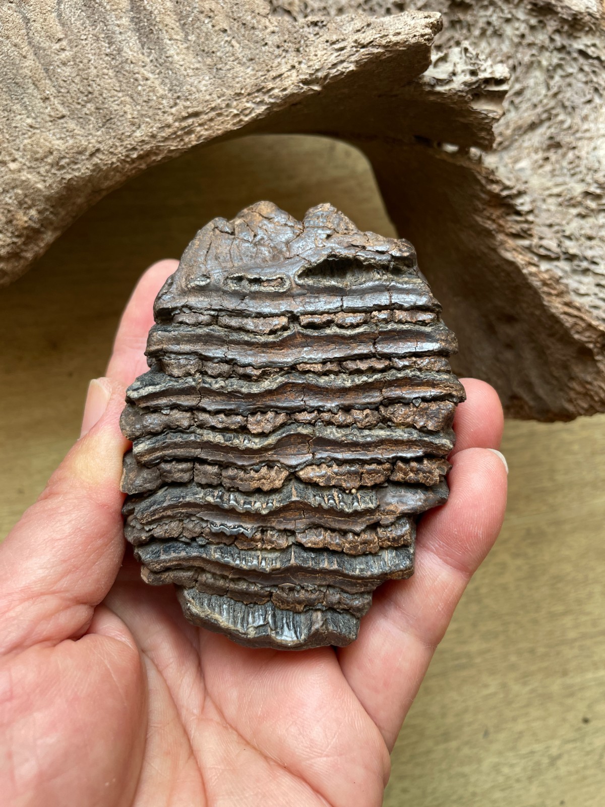 370g  Beautiful Clear texture landscape stone