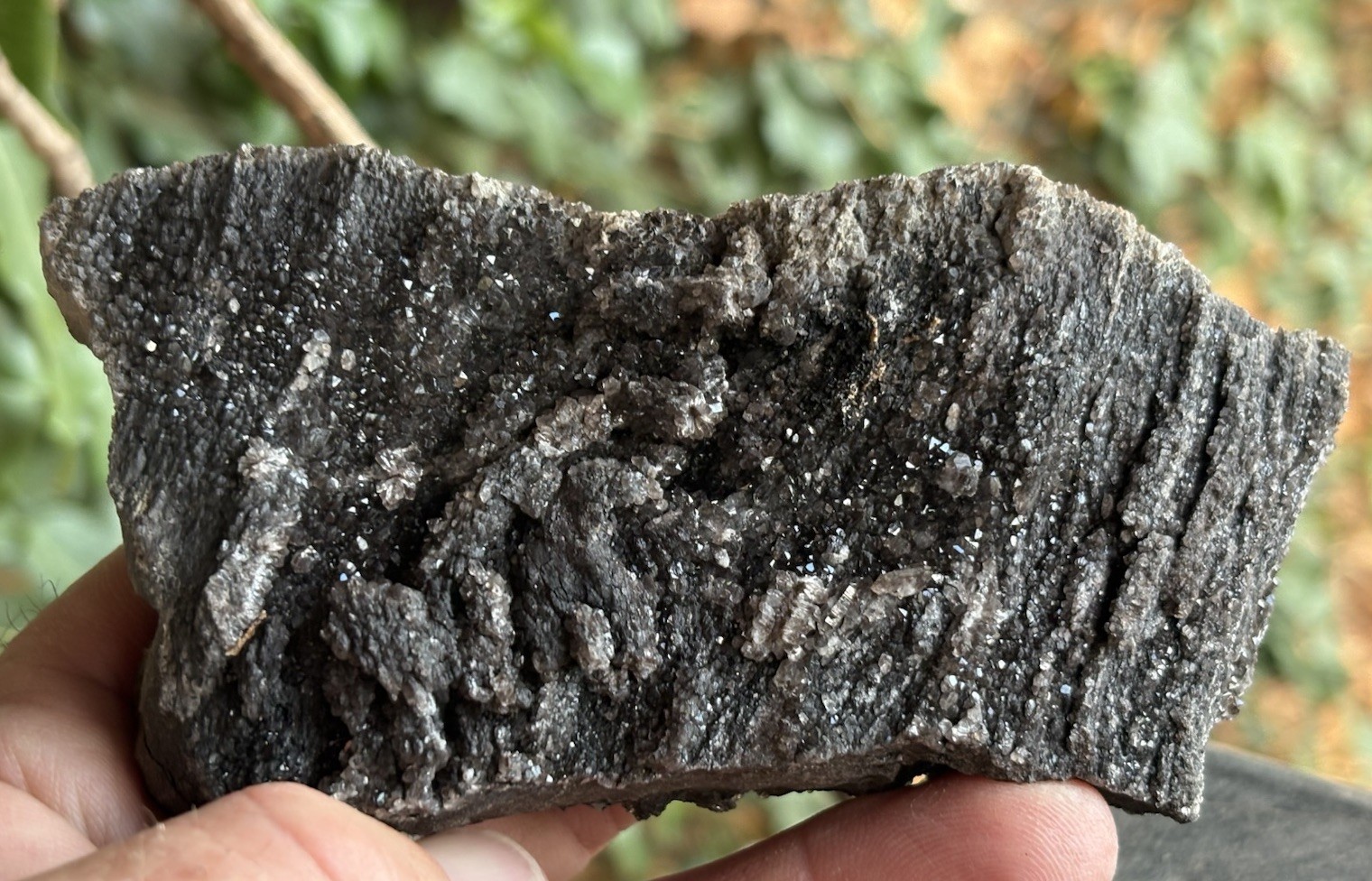 ☘️RR⛏️: Druzy Sparkly Smoky Quartz Arizona Petrified Wood, 10.3 Oz.
