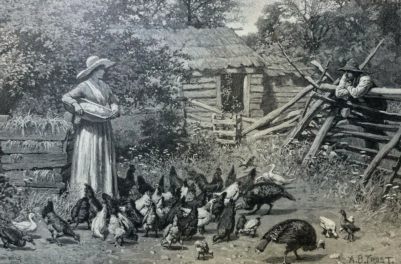 1887 Vintage Magazine Illustration Woman Feeding Chickens in Front of Log Cabin 1887 Vintage Magazine Illustration Woman Feeding Chickens in Front of Log Cabin