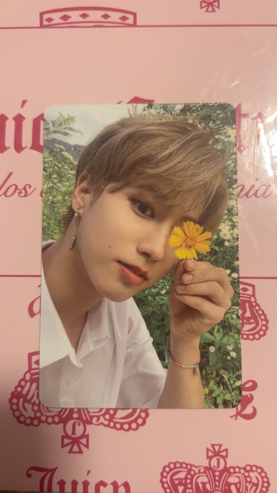 Han- Stray Kids NOEASY pre-order Benefit 