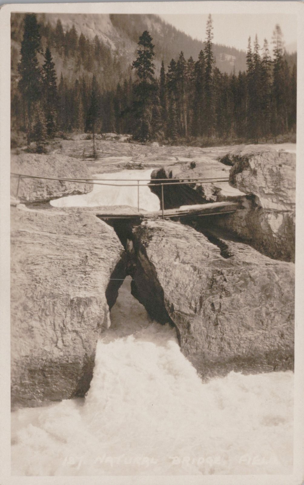 Antique Postcard Natural Bridge CPR Byron Field British Columbia CA 1910s