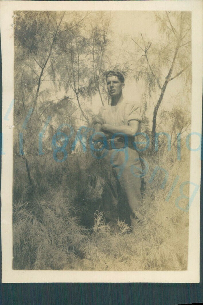 WW1 1/11 Btn Finsbury Rifles Soldier in shrubbery northern nile egypt