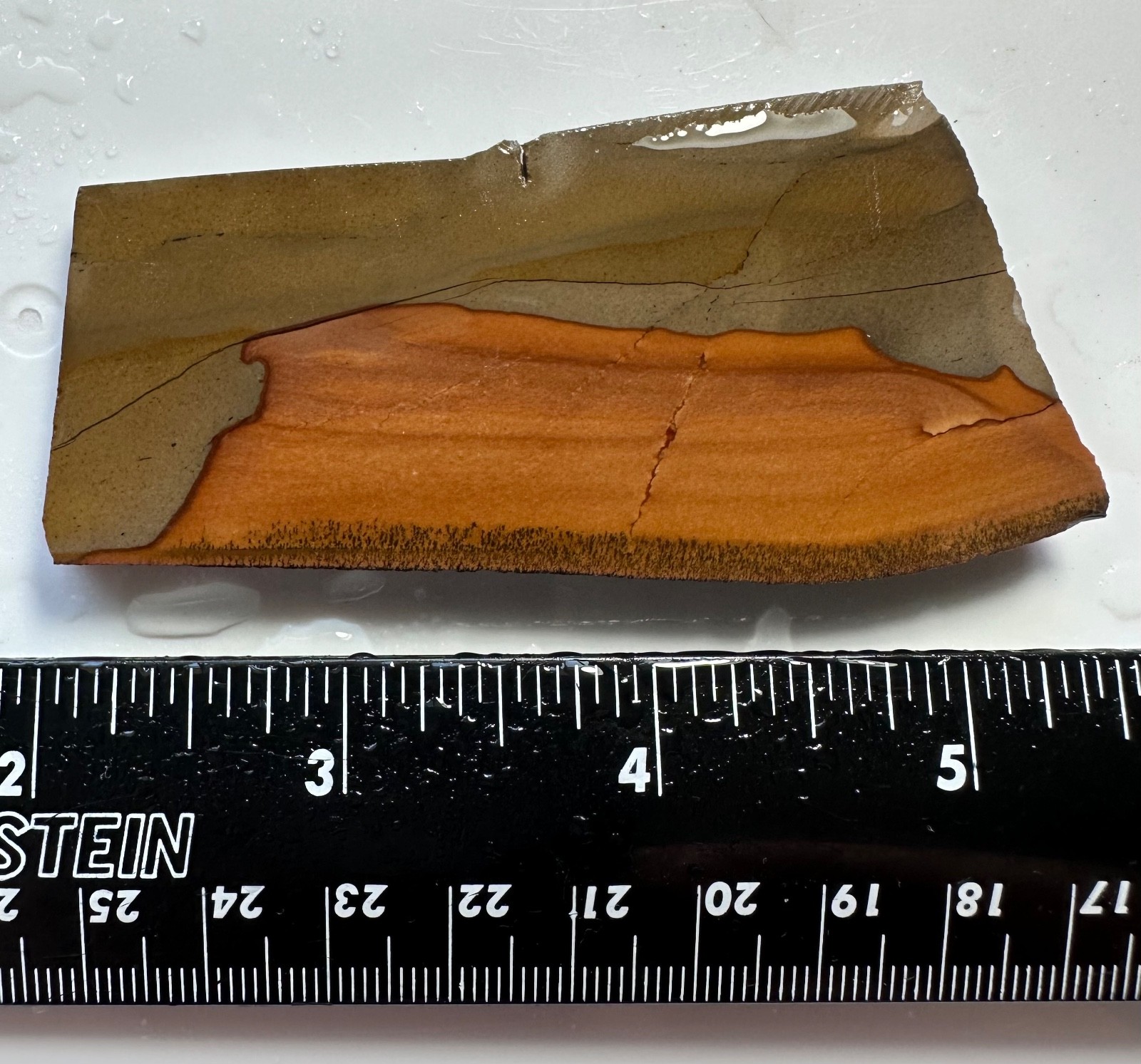 Oregon Picture Jasper Slab, 45 grams, Cabbing/Lapidary