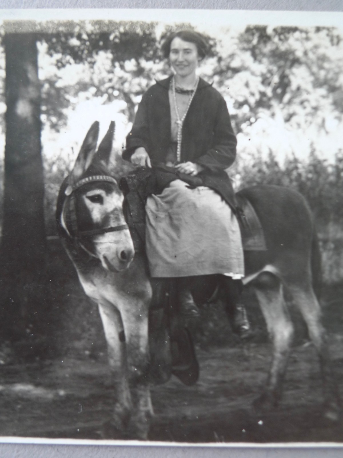 Antique 1914 rppc woman riding side saddle donkey vintage real photo postcard Antique 1914 rppc woman riding side saddle donkey vintage real photo postcard