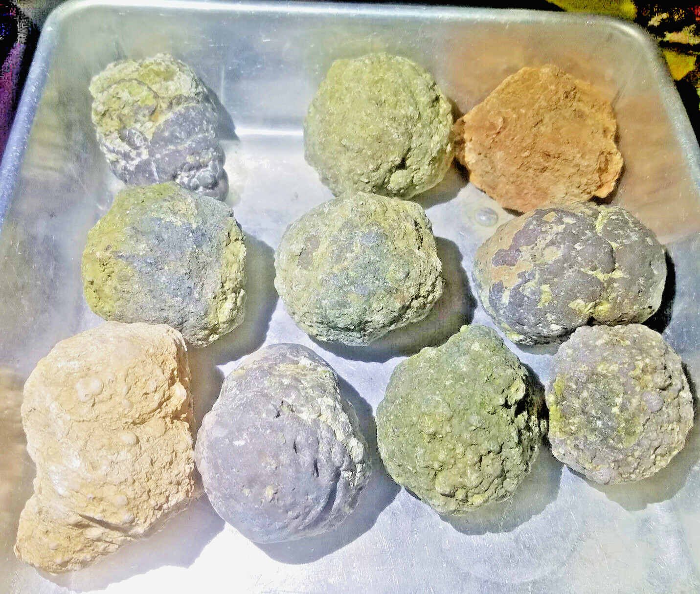 3lb Lot 10 Oregon Thundereggs • Ochocos Rough Lapidary Jasper Moss Agate Geode