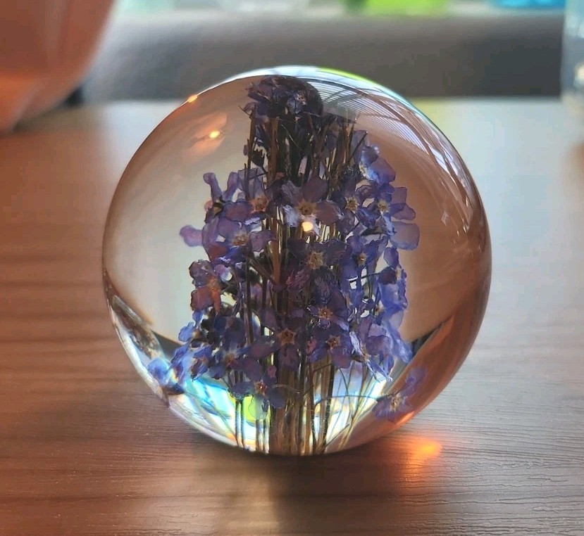 Vintage Hafod Grange 99\' Forget-me-nots Paperweight 2.5”  Clean Clear Resin