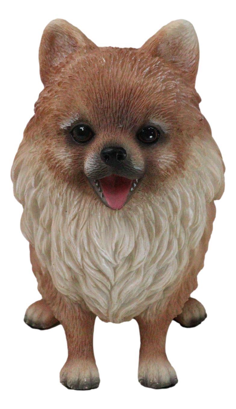 Lifelike Adorable Pet Pal Sitting Pomeranian Spitz Puppy Dog Figurine 6\
