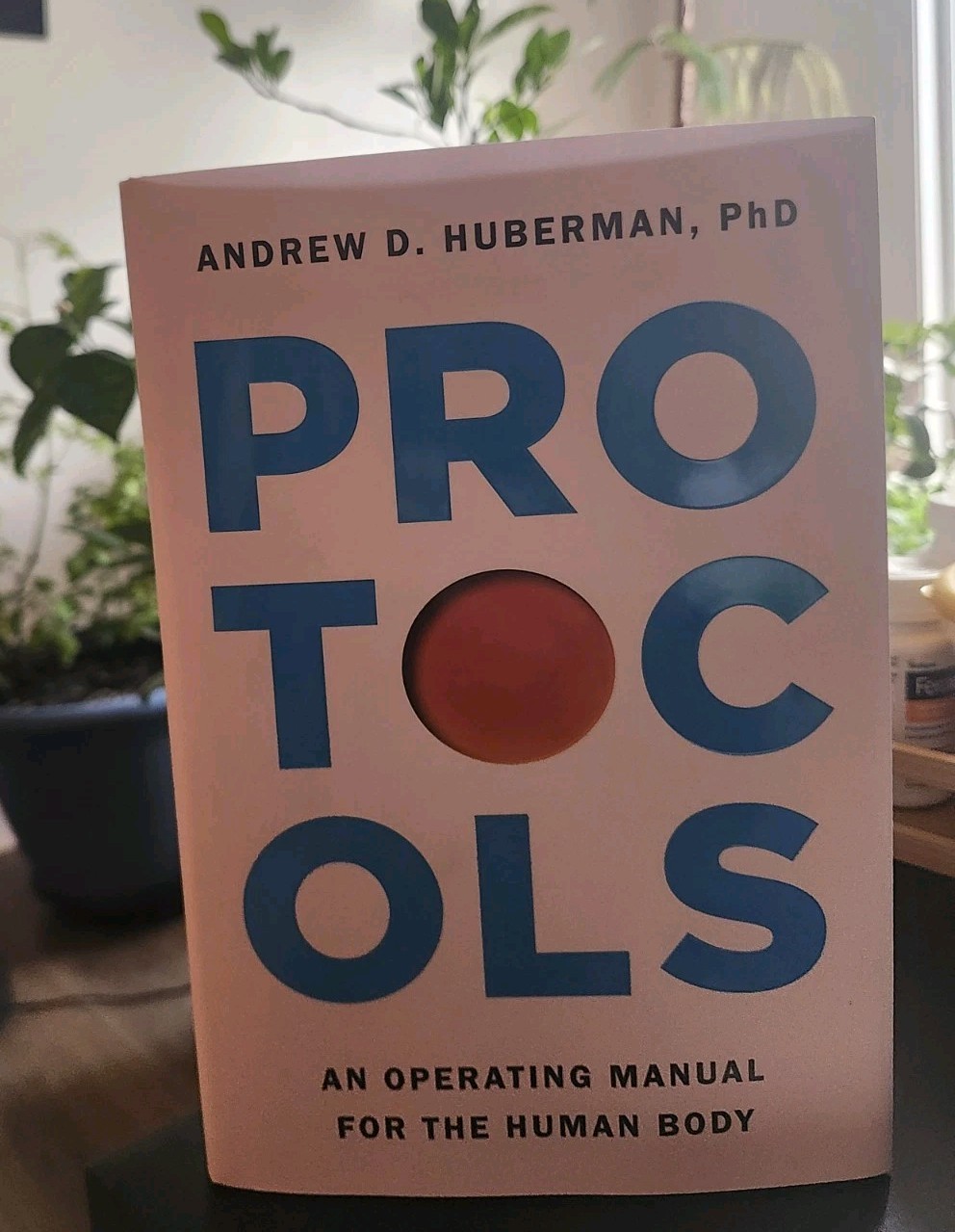 Protocols Exclusive 