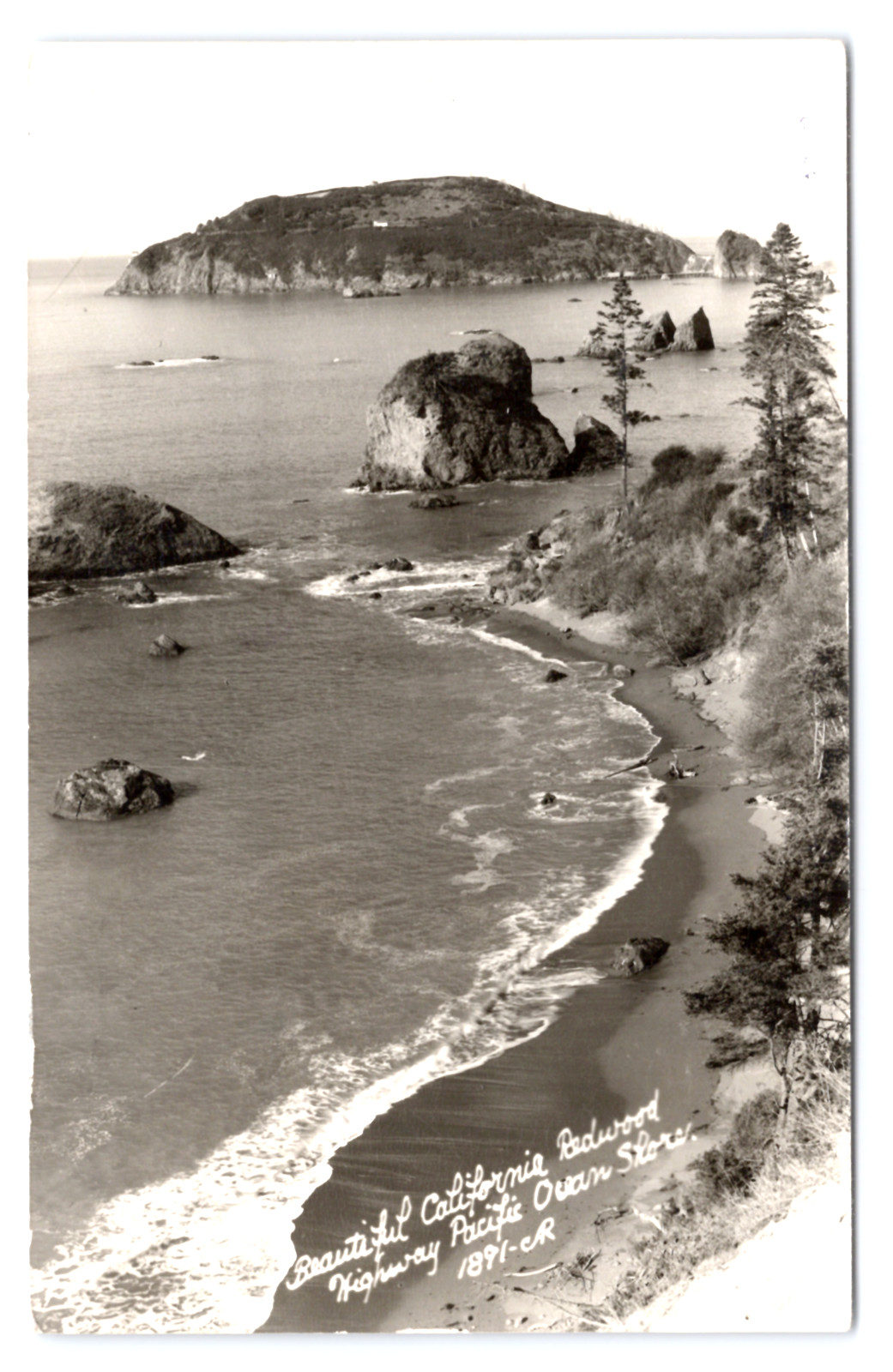 c1974 Redwood Highway Pacific Shore RPPC Trinidad Head CA Humboldt County c1974 Redwood Highway Pacific Shore RPPC Trinidad Head CA Humboldt County